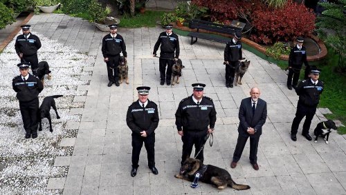 Three new dogs join the RGP canine unit